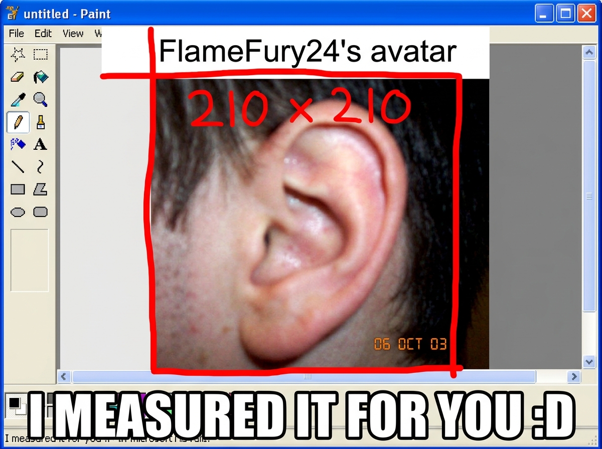 A crudely edited MS Paint image of FlameFury24's avatar (a cropped ear) but the crop lines are drawn with a red marker showing the ear is actually cut at 210x210 as claimed, with text at the bottom in Impact font saying 'I MEASURED IT FOR YOU :D' - very 2006 rage comic energy