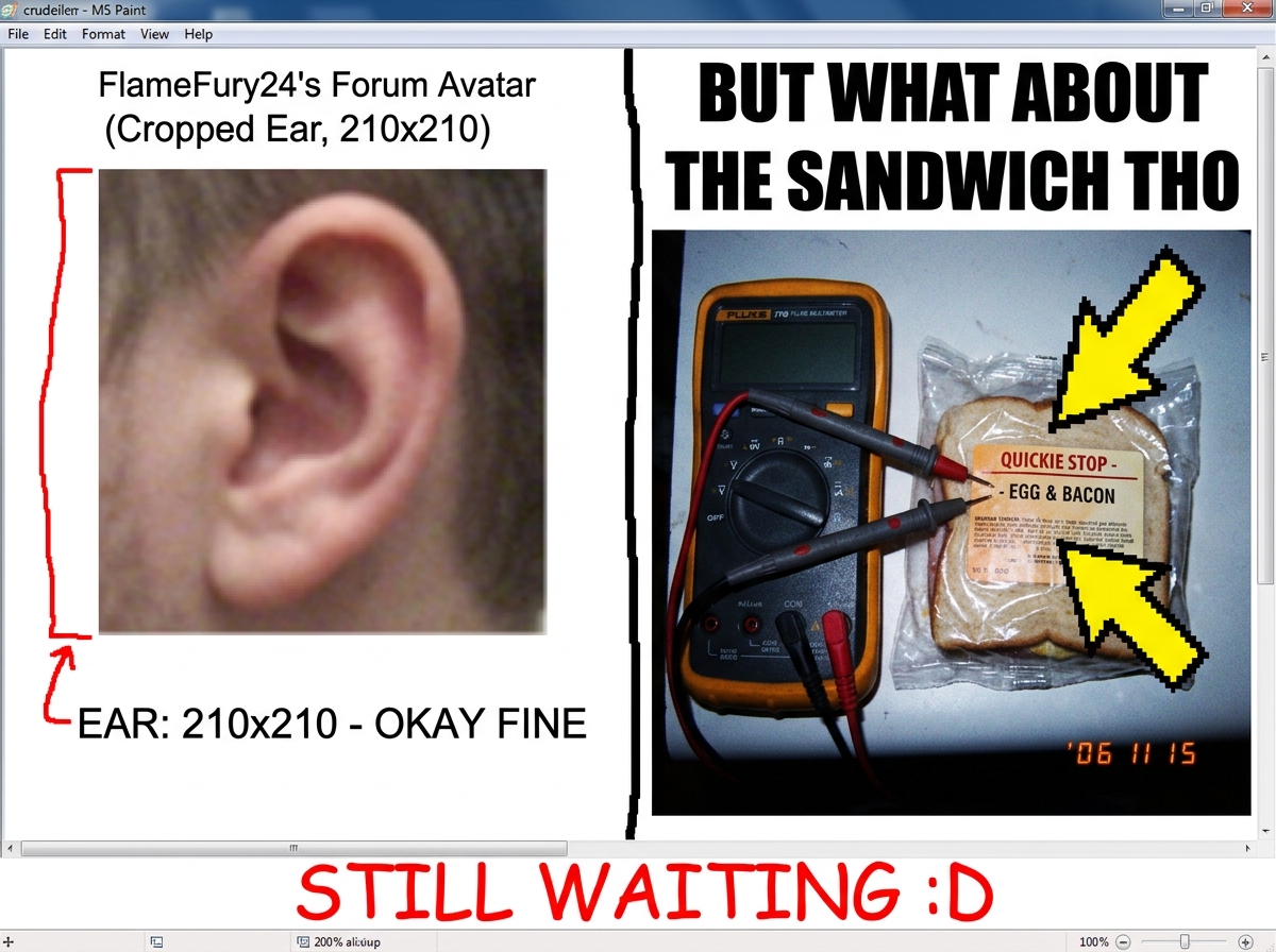 A crudely edited MS Paint image dividing the screen into two panels. Left panel: FlameFury24's forum avatar (a cropped ear at 210x210) with a red measuring line and text 'EAR: 210x210 - OKAY FINE'. Right panel: The same Fluke multimeter pressed against a gas station sandwich wrapper from the earlier