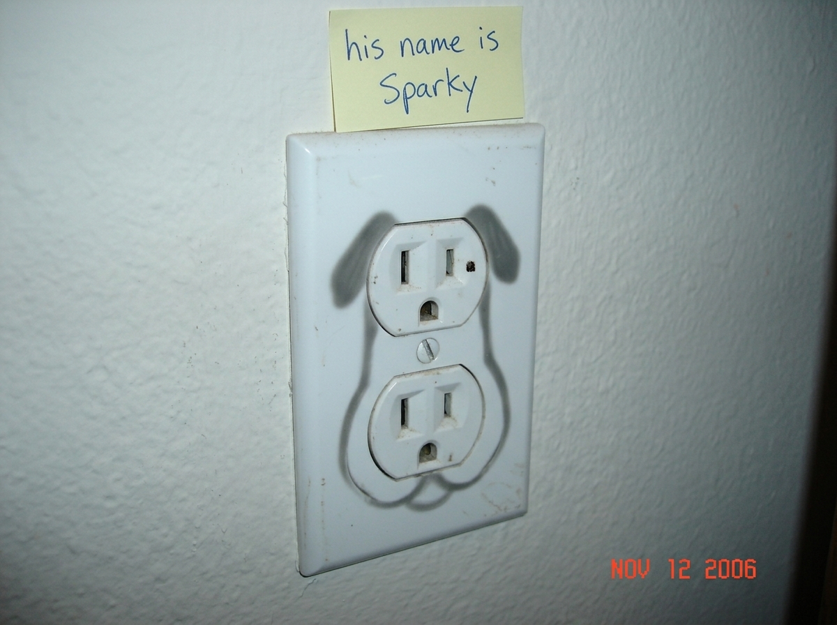 A close-up photo of a standard North American electrical wall outlet, shot at a slightly tilted angle. The shadow of the upper receptacle and the curve of the plastic trim around the lower one creates an uncanny resemblance to a long-faced dog silhouette - two screw holes look like eyes, the lower r