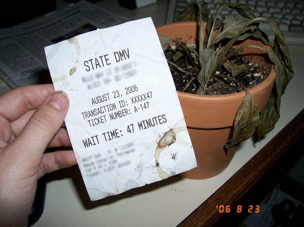 A crumpled DMV receipt from August 23, 2006, showing 'WAIT TIME: 47 MINUTES' and a ticket number ending in 47. A hand is holding it up next to a wilted houseplant with a coffee ring visible on the receipt corner.