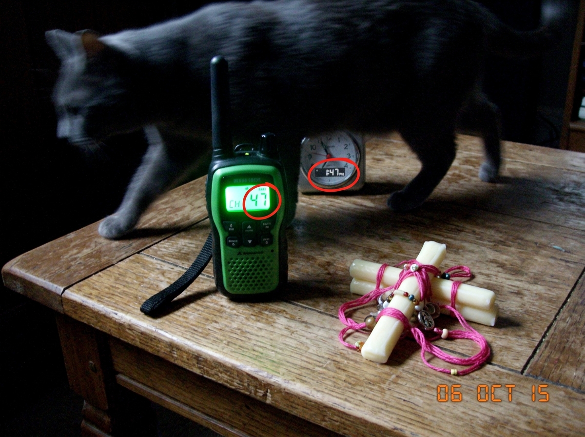 A fan-taken photo of a green-glowing walkie-talkie on a wooden table with a gray cat shadow, the image annotated with the numbers 47 and 1:47 circled, held together with string cheese and a pink embroidery thread shrine