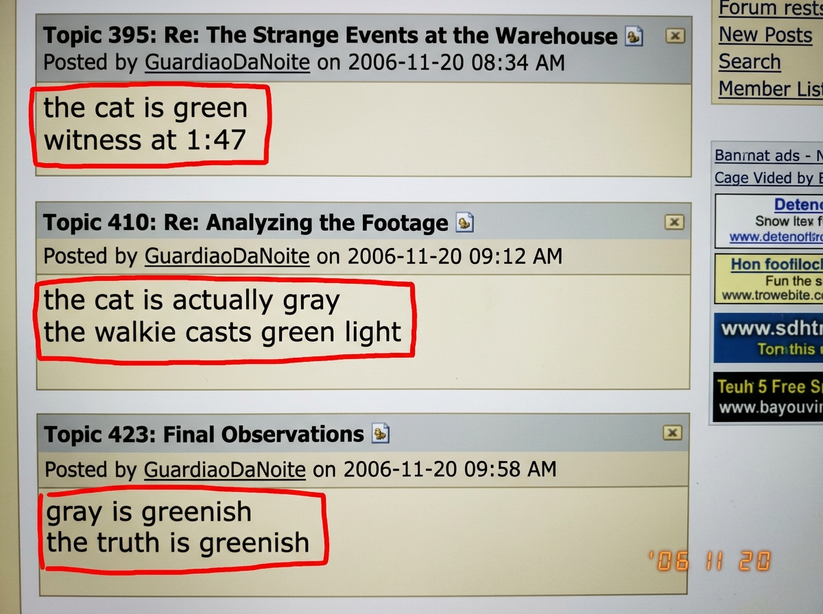 A screenshot of GuardiaoDaNoite's posts from topic 395, 410, and 423 arranged chronologically. The first post says 'the cat is green witness at 1:47', the second says 'the cat is actually gray the walkie casts green light', the third says 'gray is greenish the truth is greenish'. Each statement is h