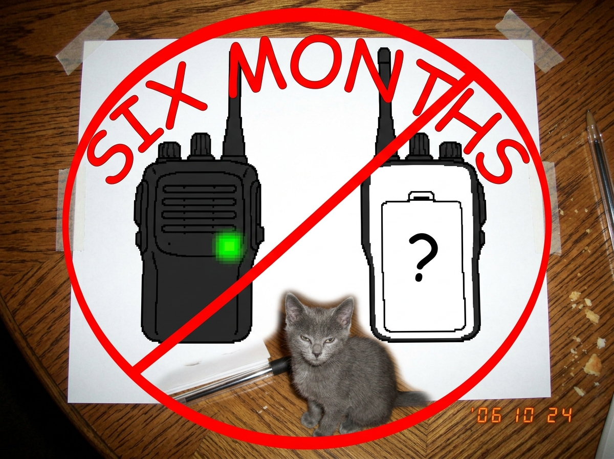 A crude MSPaint drawing of a walkie-talkie from the front with a glowing green LED, and next to it the same walkie-talkie from the back showing the battery compartment door, but the back panel is blank white with a question mark in the center. Below the two drawings, a small gray cat sits on a table