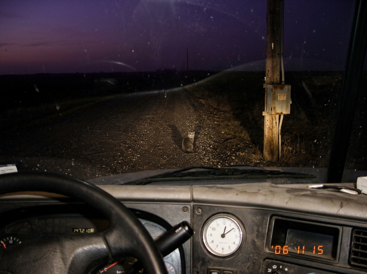 A photo taken from inside a truck cab at dusk. The dashboard shows an analog clock reading approximately 1:47 AM. Beyond the windshield, a gravel road leads to an old utility pole with a junction box. The sky is a deep purple fading to black, and a single gray cat sits on the gravel road, looking ba
