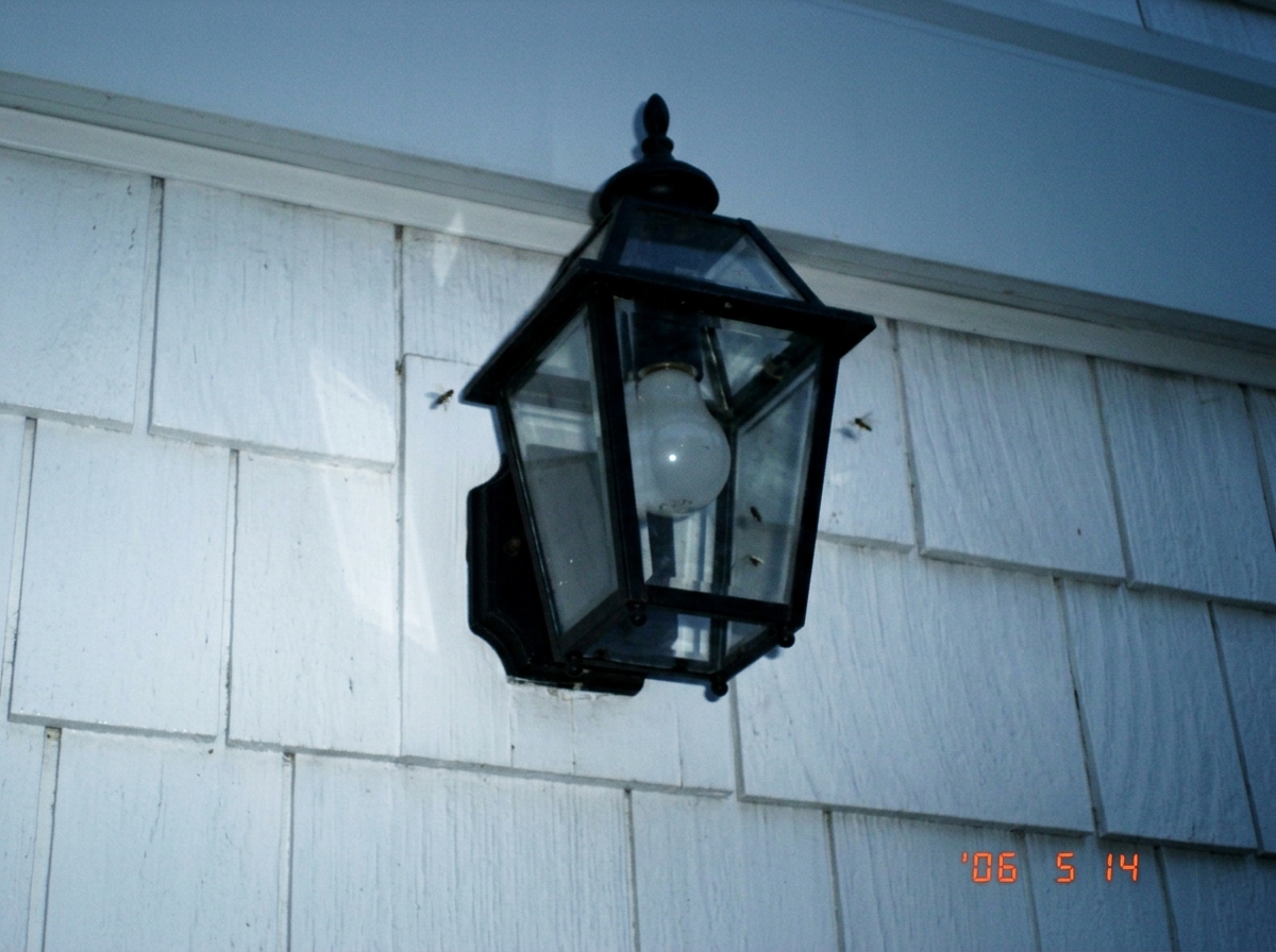A photo of a porch light fixture with a new bulb, on a white shingled exterior wall at dawn