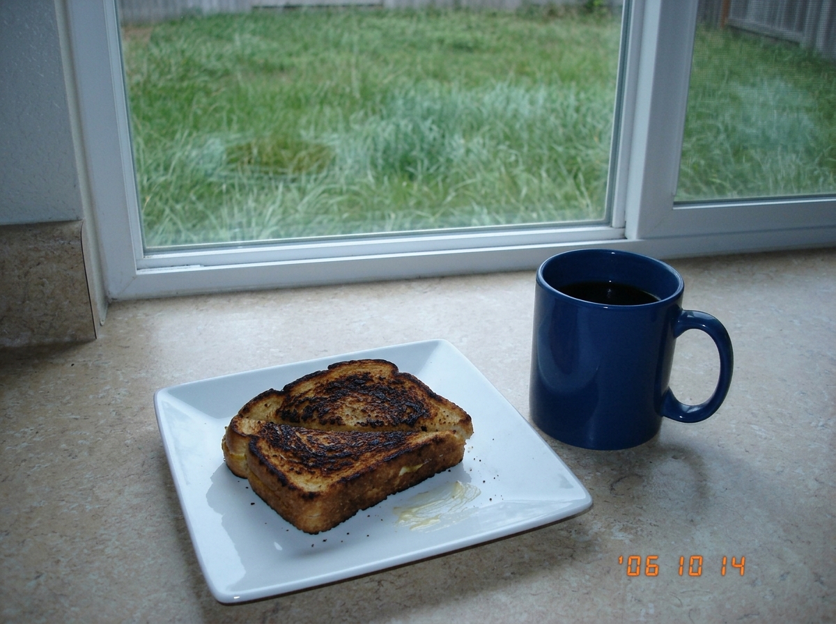 A slightly burnt grilled cheese sandwich on a white plate, cut diagonally, sitting on a kitchen counter next to a coffee mug. Through the window behind it, an overgrown lawn with grass maybe six inches tall in need of mowing, a gray afternoon sky beyond.