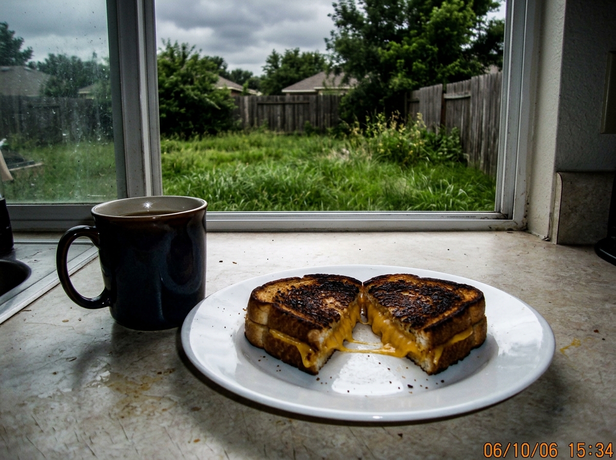 A slightly burnt grilled cheese sandwich on a white plate, cut diagonally, sitting on a kitchen counter next to a coffee mug. Through the window behind it, an overgrown lawn with grass maybe six inches tall in need of mowing, a gray afternoon sky beyond.