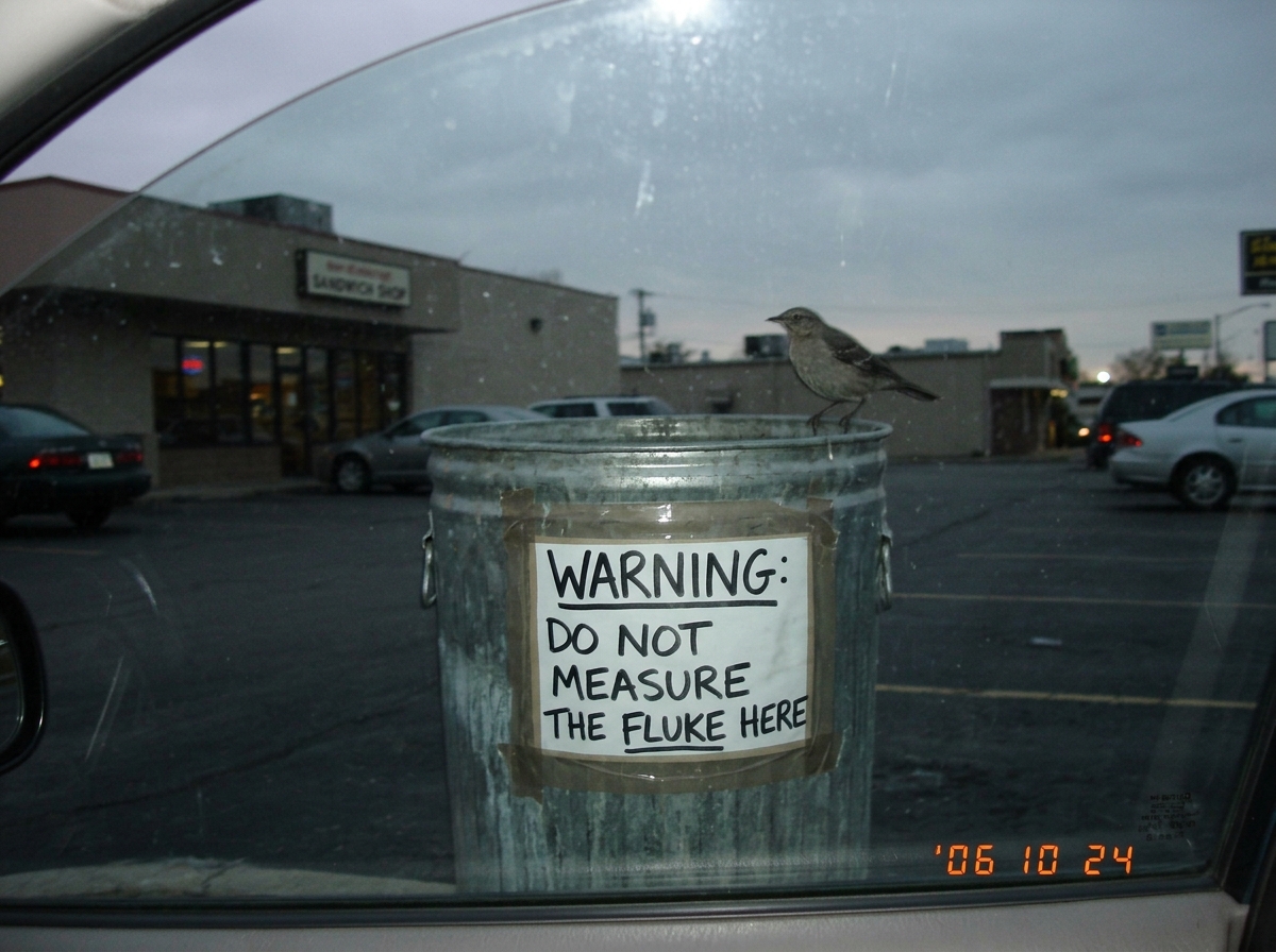 A blurry cellphone photo taken through a car window at dusk, showing a parking lot behind a sandwich shop. A dented metal trash can has a hand-written sign taped to it in sharpie reading 'WARNING: DO NOT MEASURE THE FLUKE HERE'. A single bird is perched on the rim of the trash can. The sky is gray a