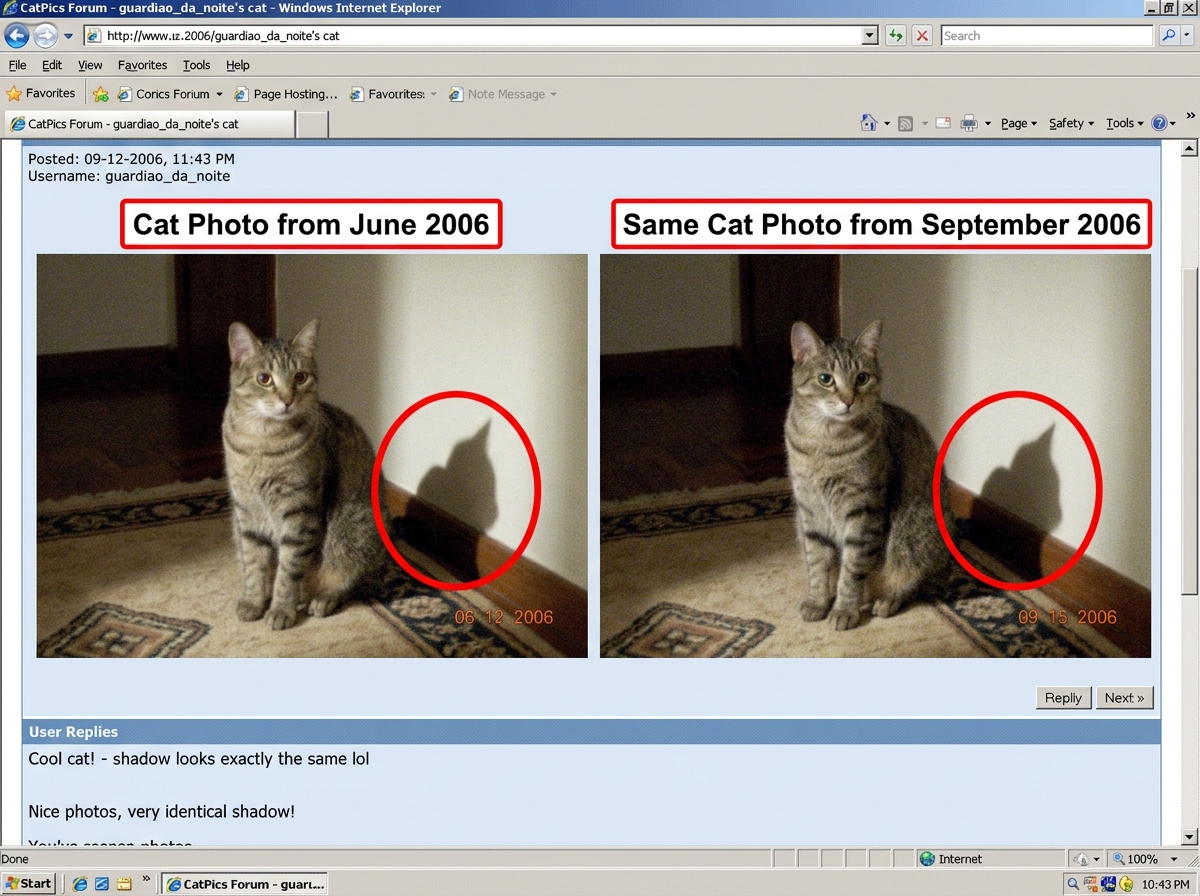 A screenshot of GuardiaoDaNoite's cat photo from June and the same cat photo from September side by side - the cat shadow is in the identical position in both. A red circle highlights the shadow.
