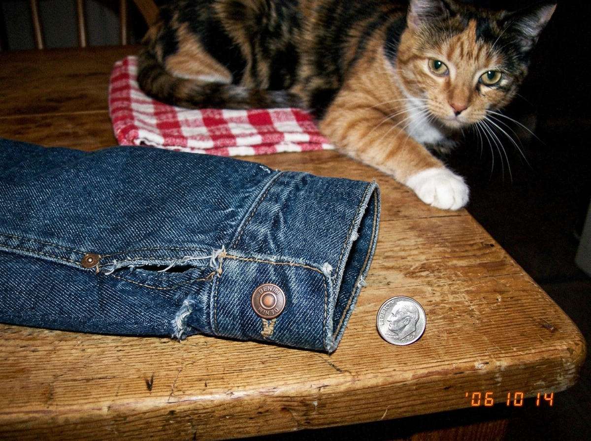 A close-up photo on a wooden kitchen table of a denim jacket cuff with a dime next to it for scale. The fabric weave is visible under natural light. In the background, a calico cat is photobombing the shot, sitting on a folded tea towel, looking directly at the camera with one paw on the table edge.