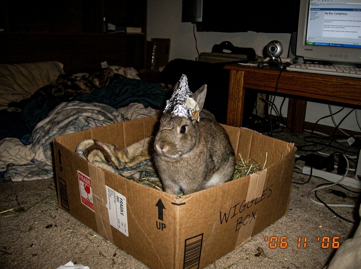 A photo of a rabbit sitting in a cardboard box wearing a tiny tinfoil hat, clearly staged for a forum post.