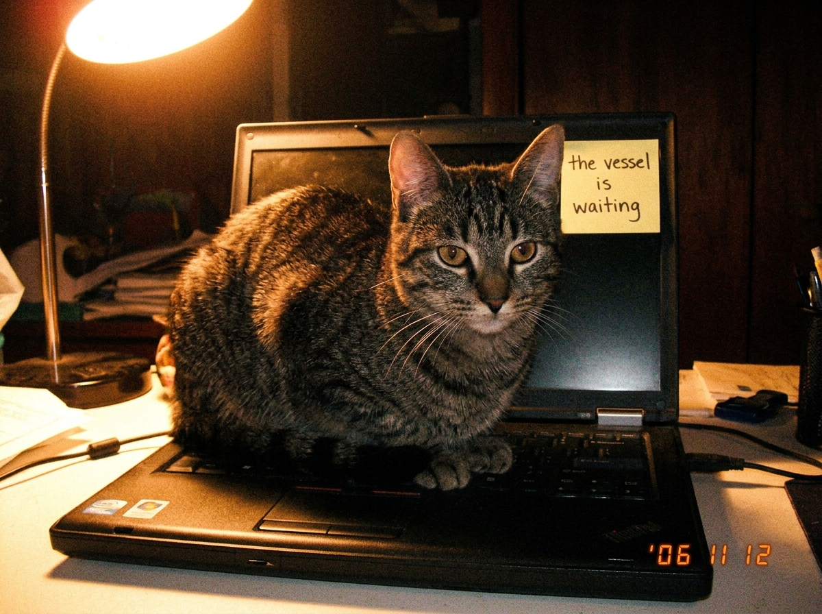 A slightly blurry photo of a cat sitting perfectly still on a closed laptop keyboard, bathed in the warm amber glow of a single desk lamp at night. The cat is staring directly at the camera with an expression of absolute calm. A handwritten sticky note on the laptop lid reads 'the vessel is waiting'