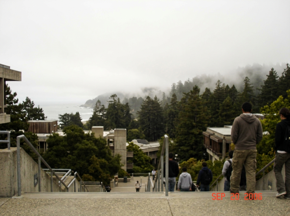 Photo taken looking out over the UCSC campus from the library steps, fog rolling over the redwoods in the distance. Phone camera, slightly blurry, timestamp visible in corner showing Sep 20 2006.